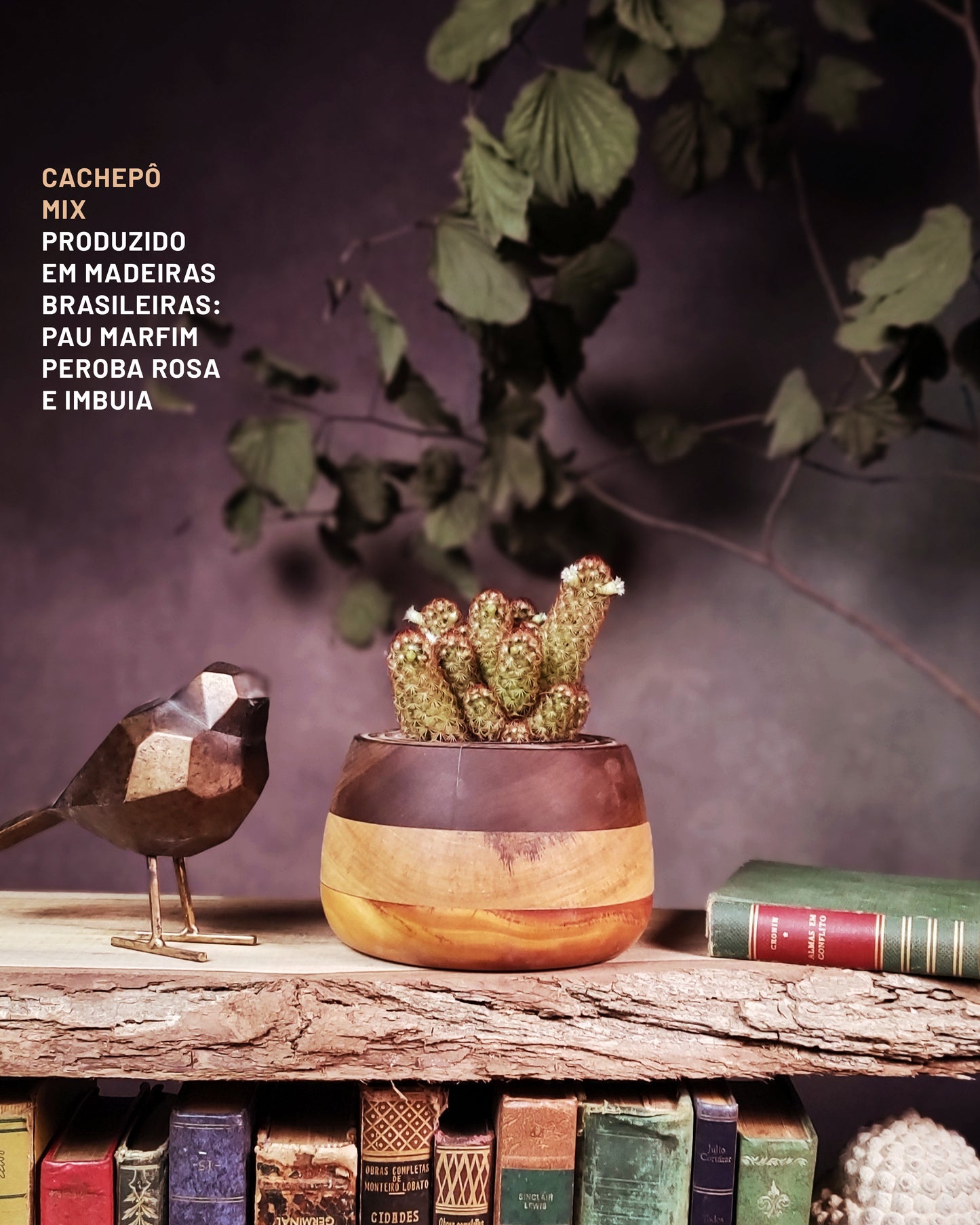 Cachepô Mix