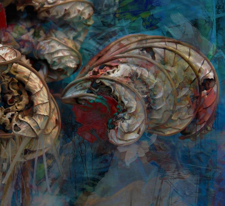 Quadro Paradisus - A