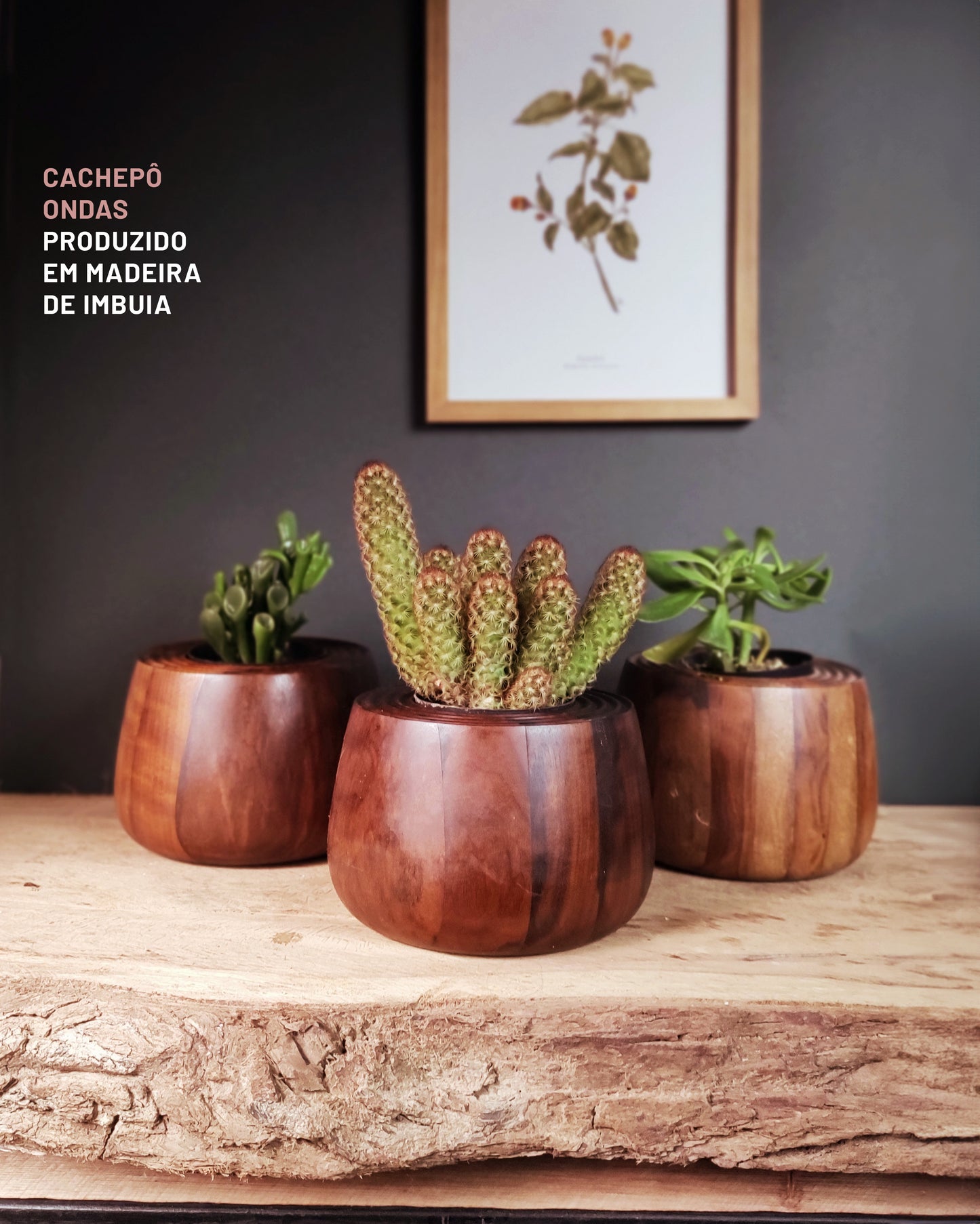 Cachepo-ondas-1