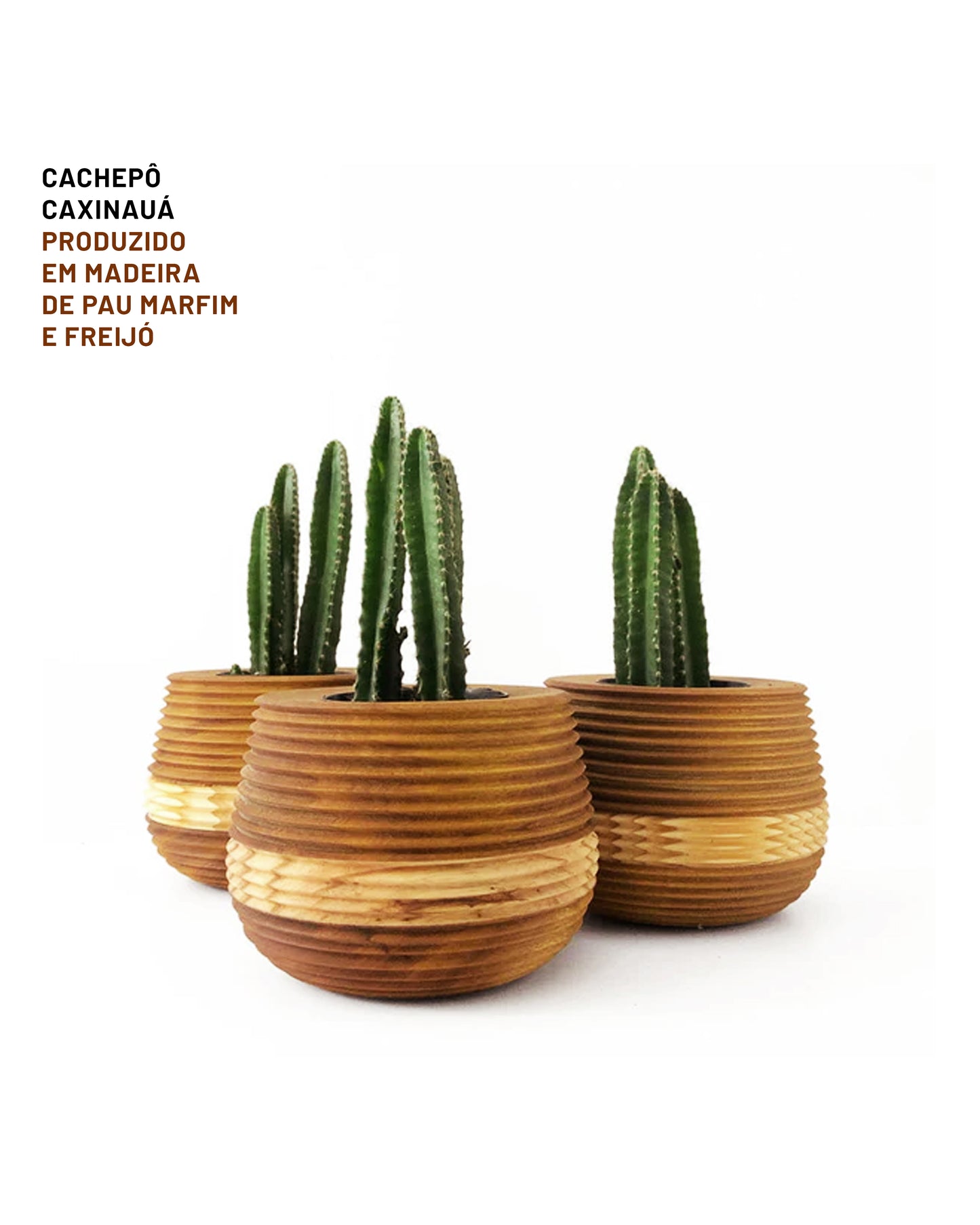 Cachepô Caxinauá