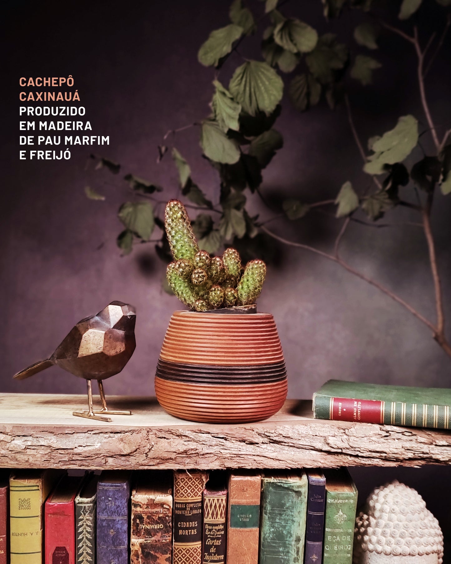 Cachepô Caxinauá