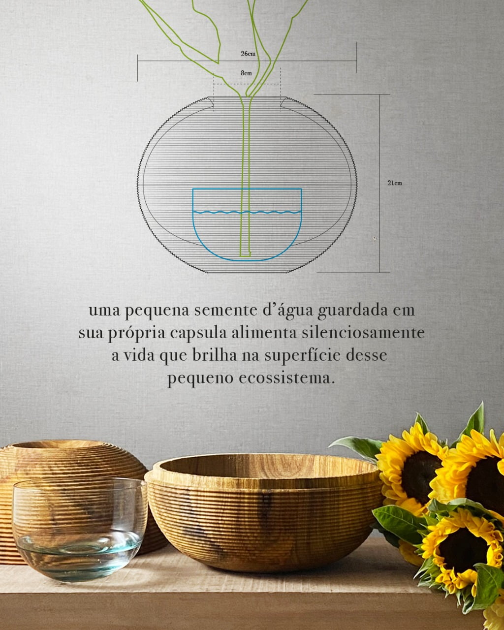 Vaso A Semente D'Água