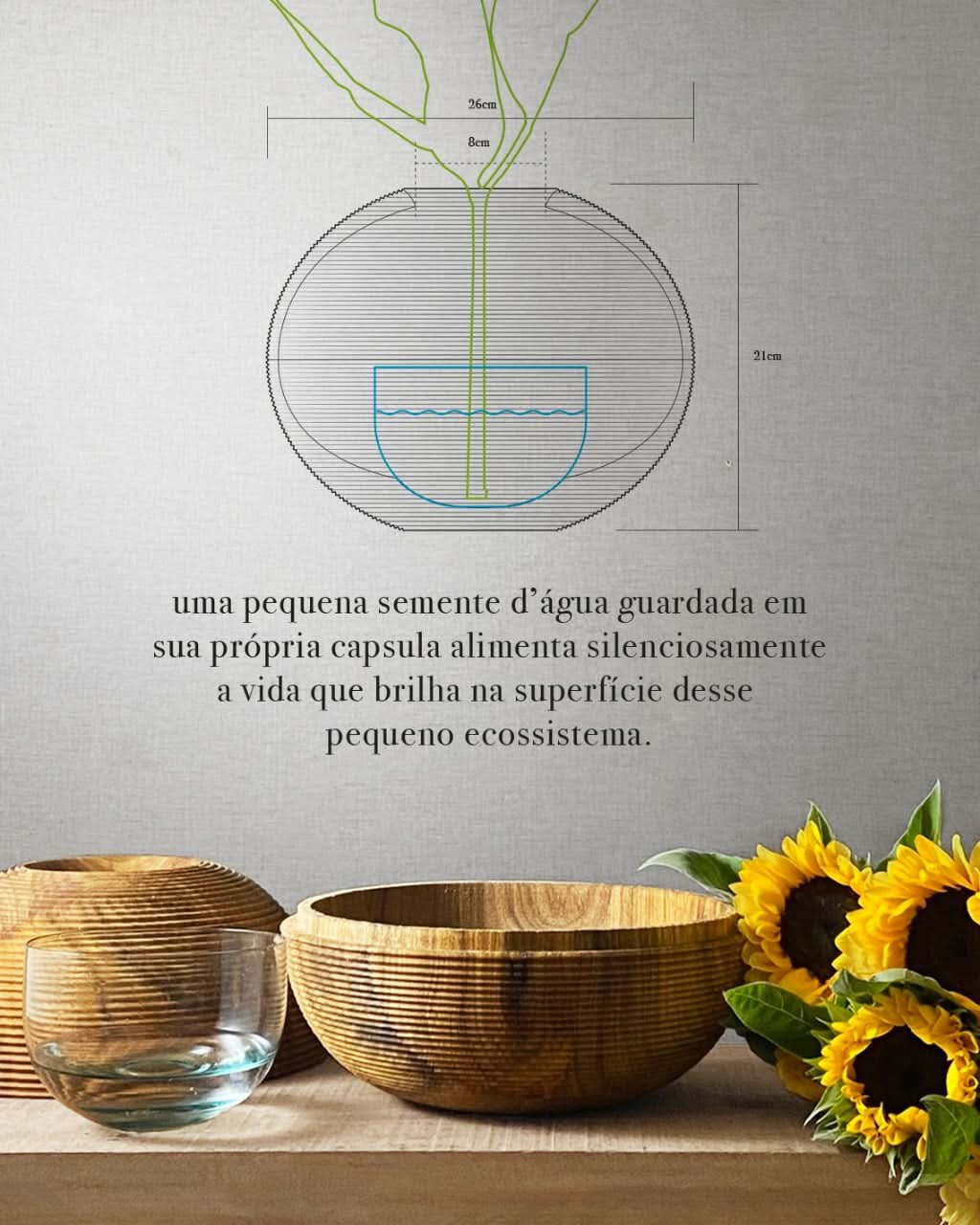 Vaso A Semente D'Água