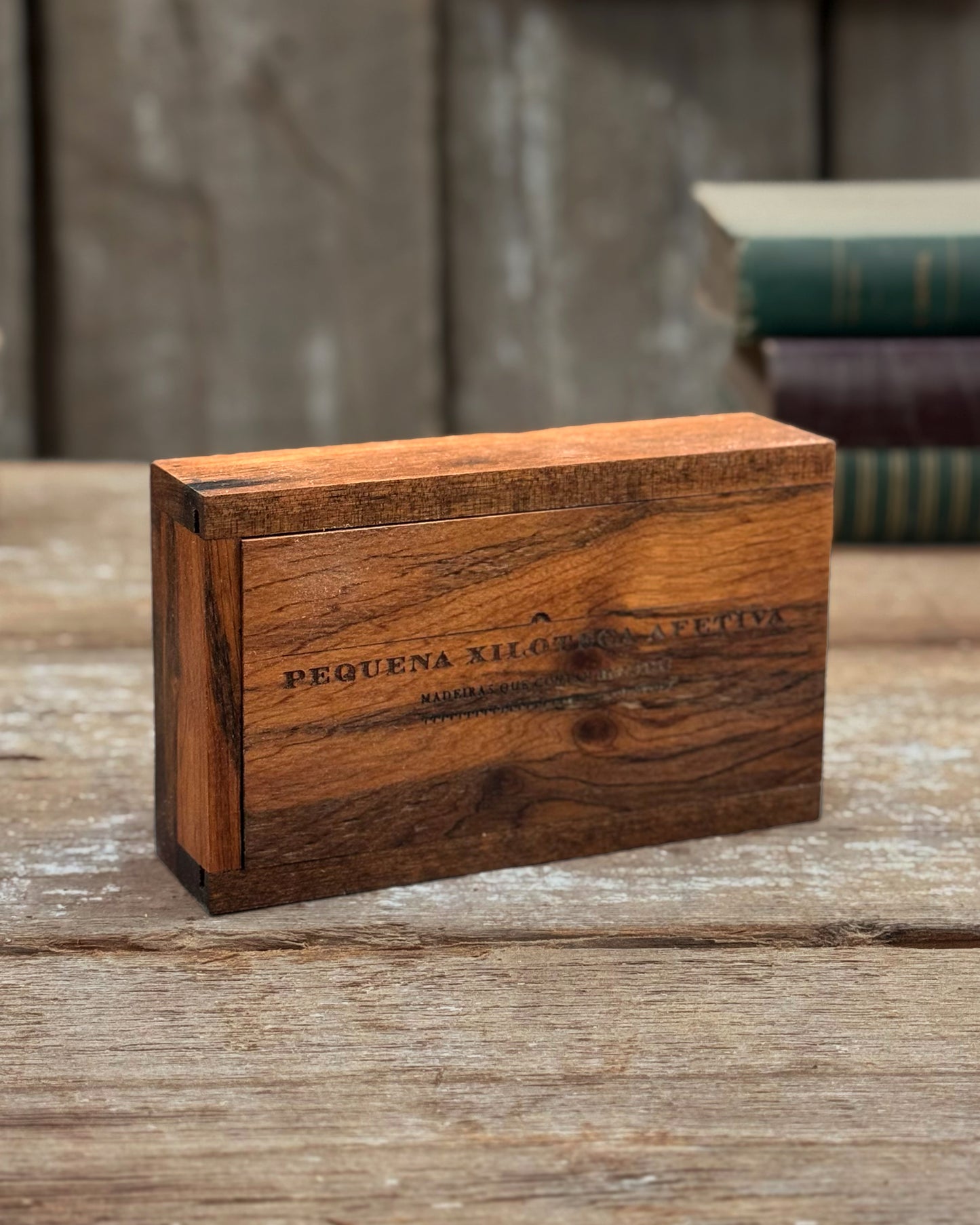 Pequena Xiloteca Afetiva 2 - Hospital