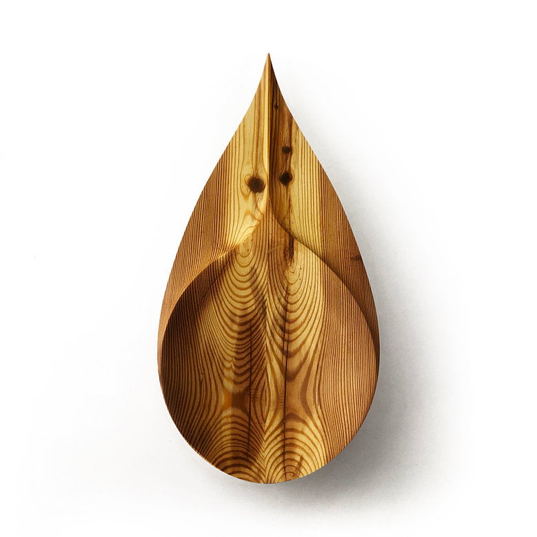 Organoide Leaf - Pinho-de-riga