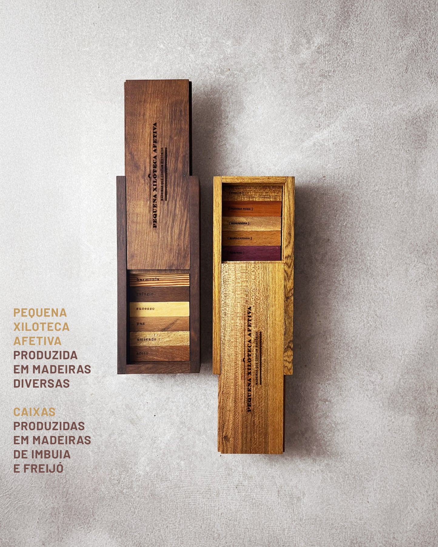 Pequena-Xiloteca-Afetiva-1