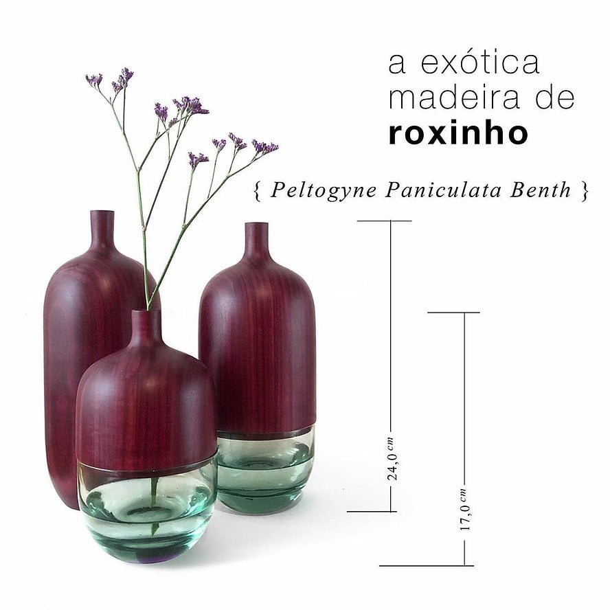 Secos e Molhados - Trio de Vasos Bojo