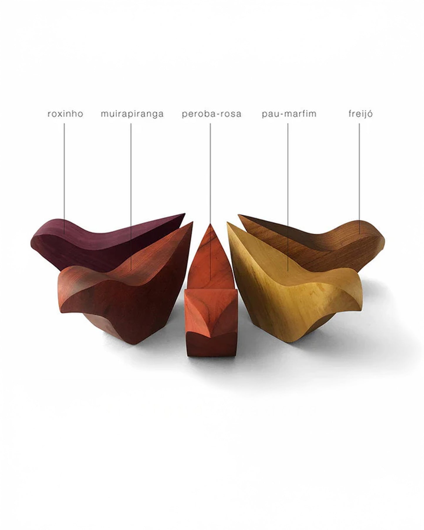 Xiloteca-Voadora-4