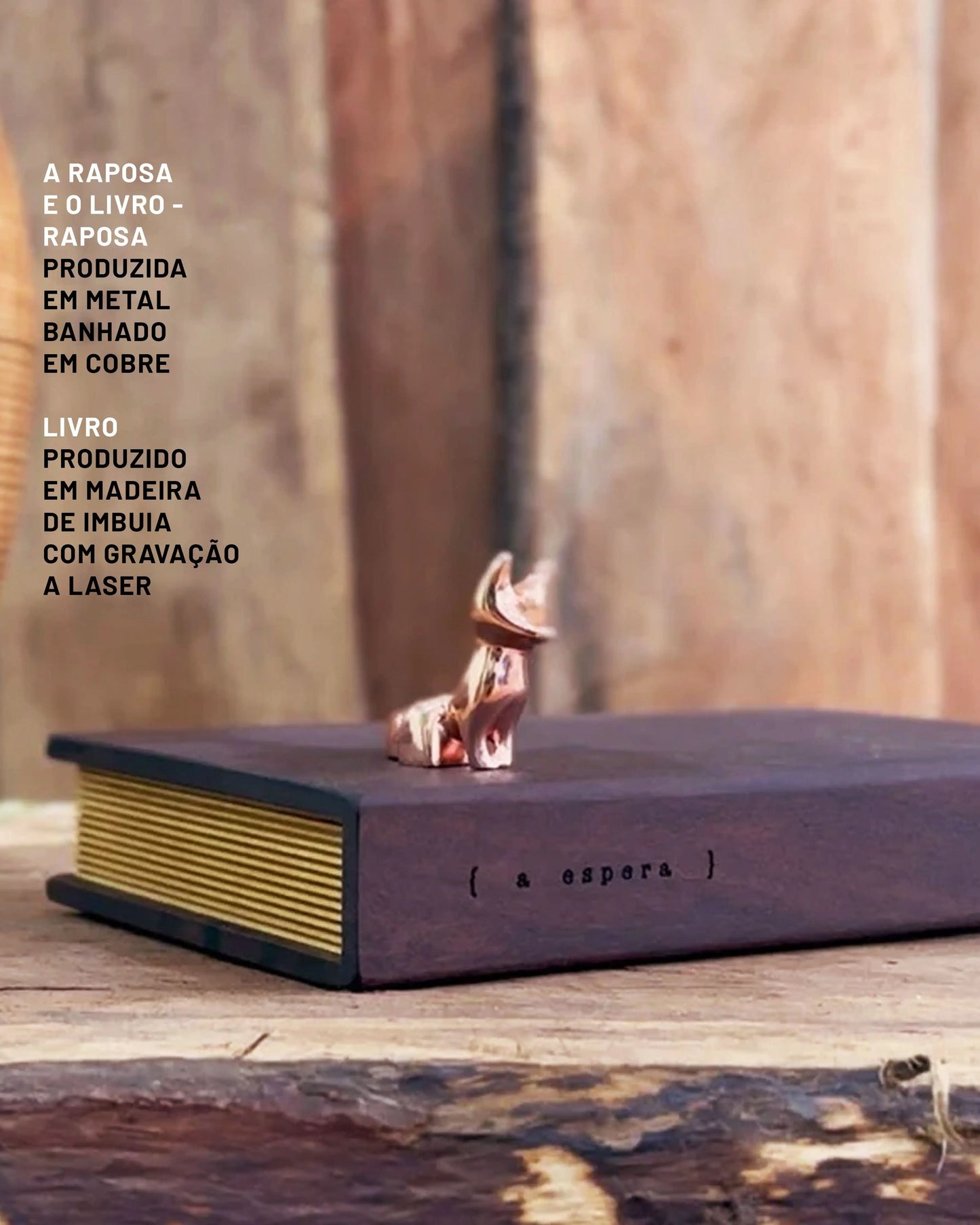A Raposa e o Livro