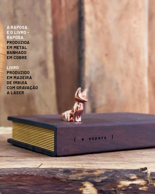 A Raposa e o Livro