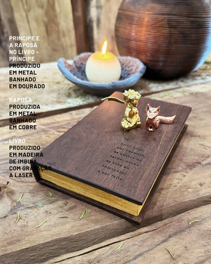 A Raposa e o Livro