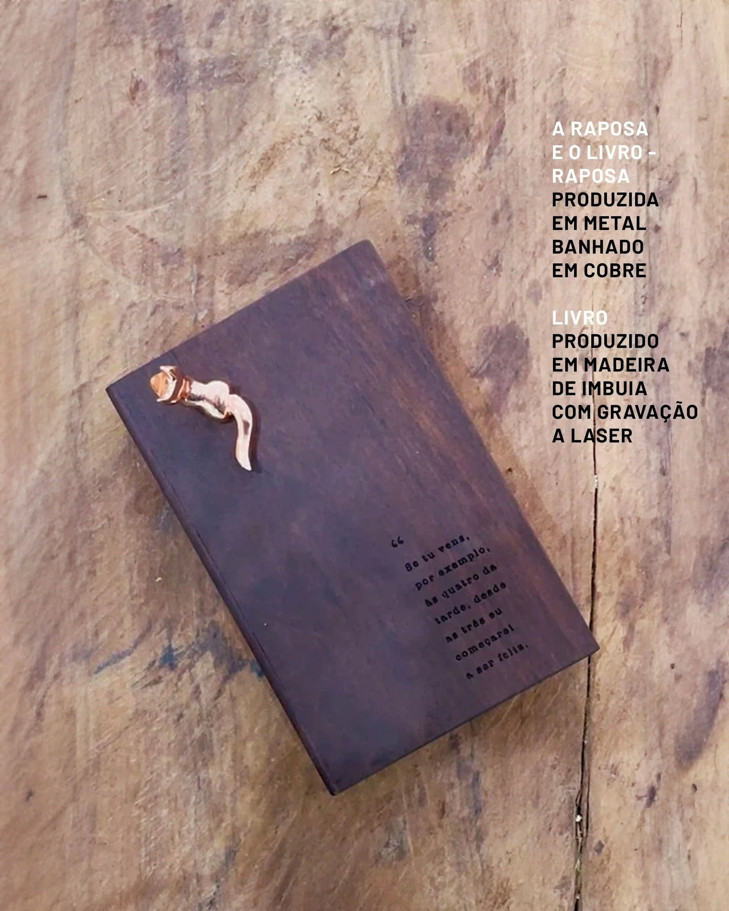 A Raposa e o Livro