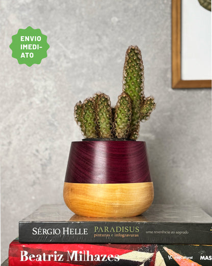 Cachepô Mix 2# - Envio Imediato