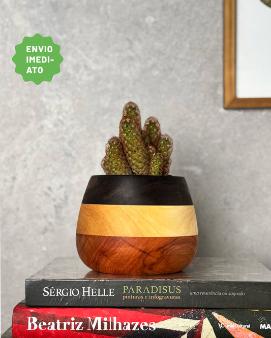 Cachepô Mix 6# - Envio Imediato