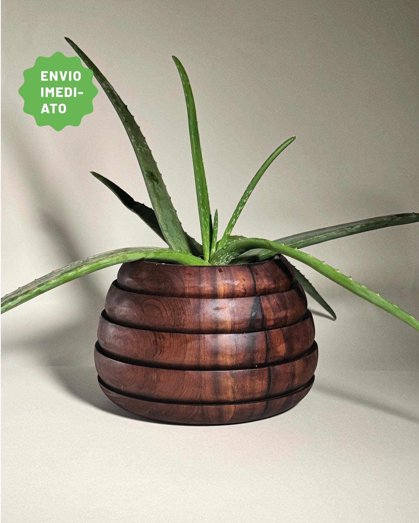 Cachepô Tatupeba G - Envio Imediato