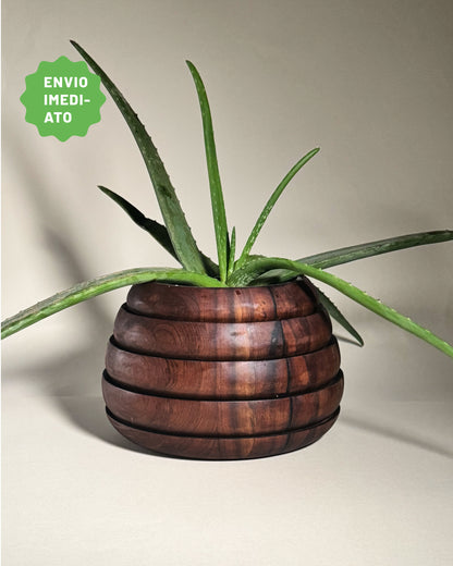 Cachepô Tatupeba G - Envio Imediato