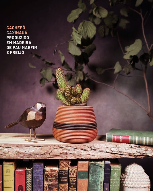 Cachepô - Caxinauá