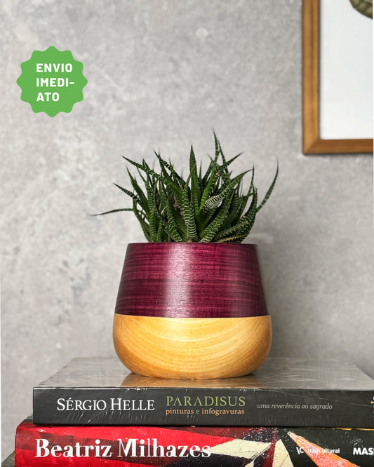 Cachepô Mix 3# - Envio Imediato