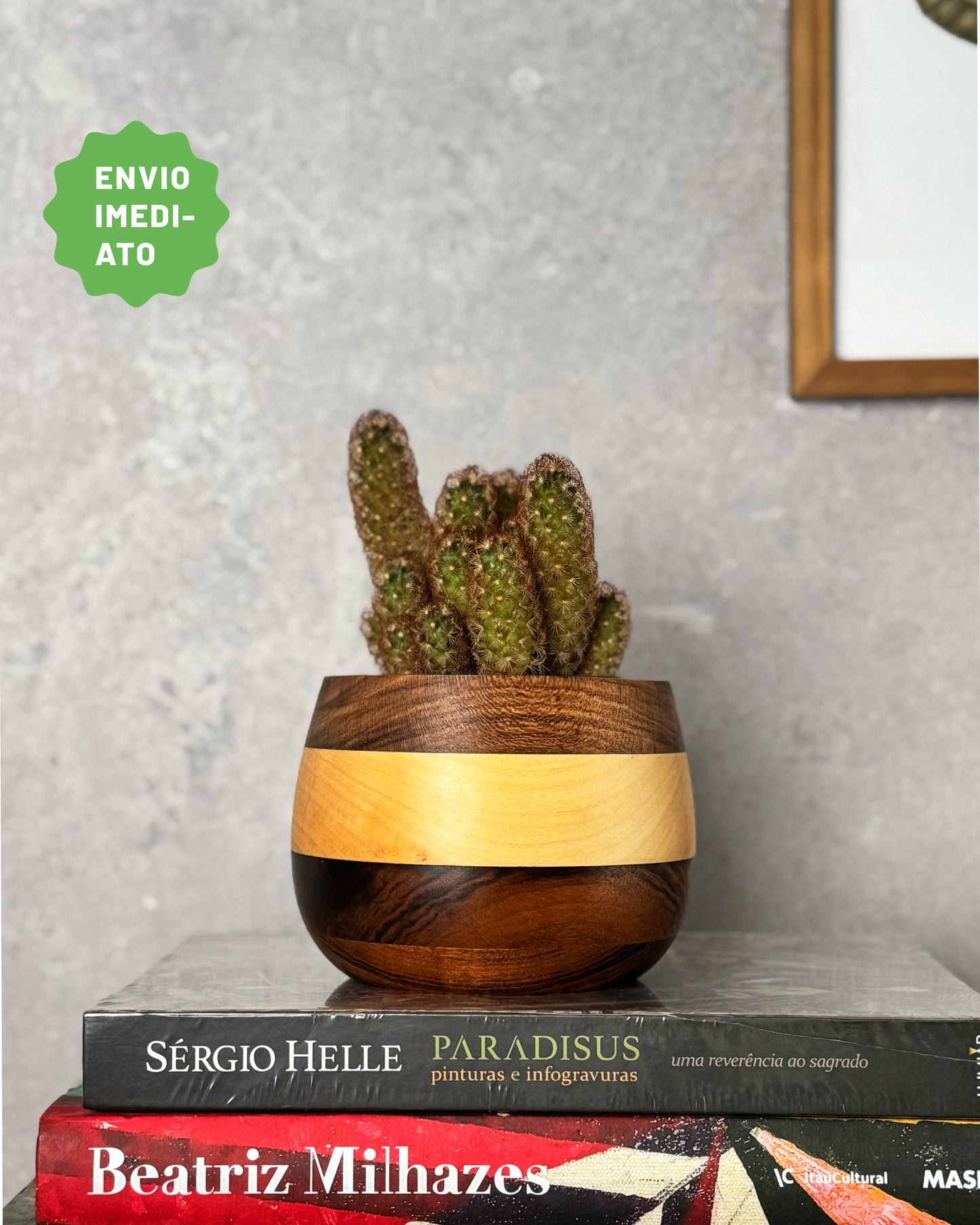 Cachepô Mix 5# - Envio Imediato