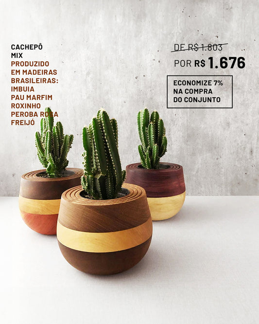 Trio de Cachepôs Mix