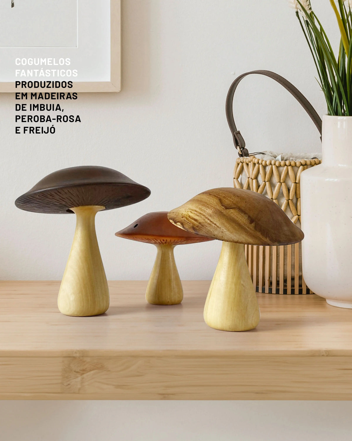 Cogumelos Fantásticos