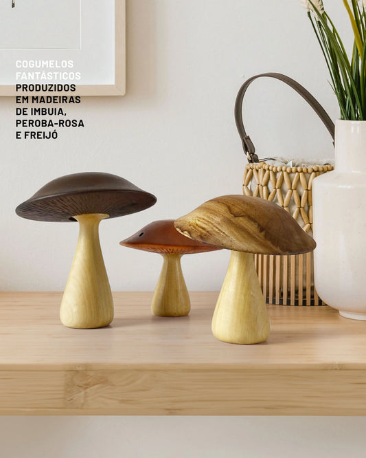 Cogumelos Fantásticos