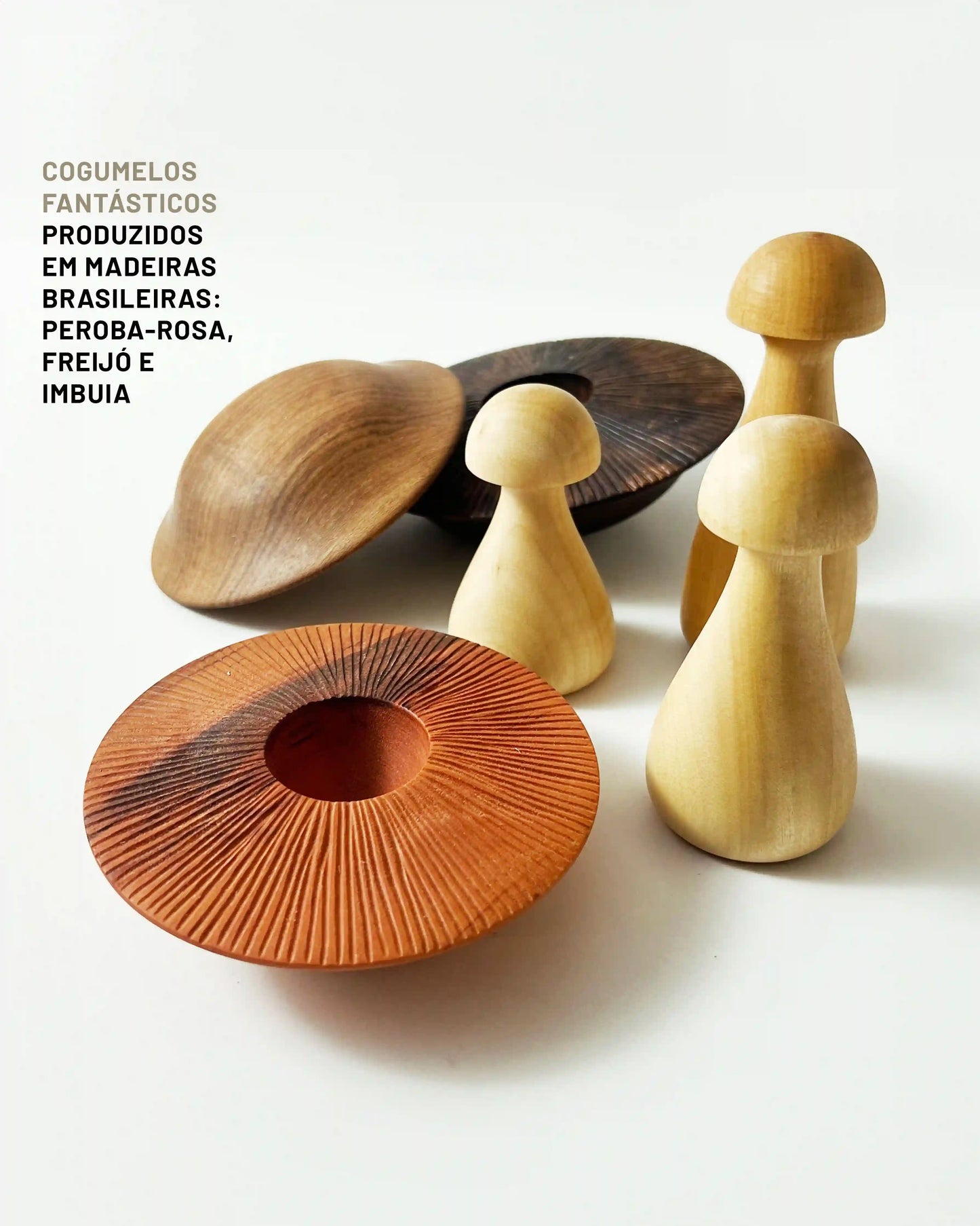 Cogumelos Fantásticos