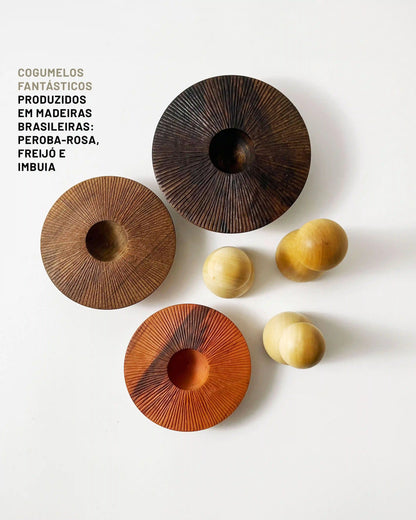 Cogumelos Fantásticos