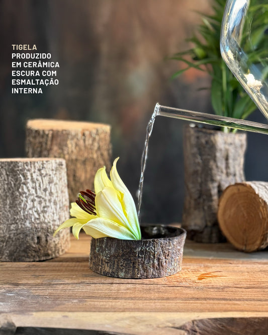 Conjunto-Floresta-Escura-3