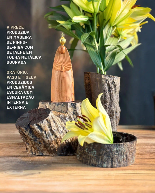 Conjunto Floresta Tropical