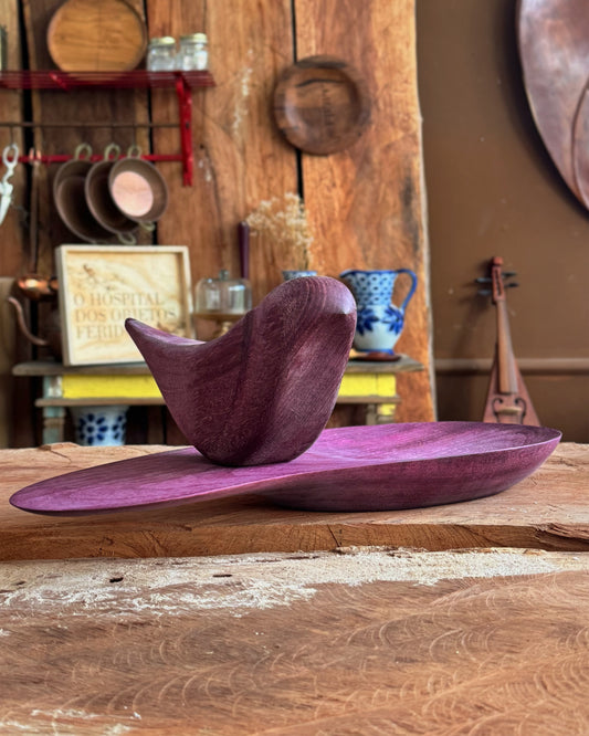 Organóide A Balança 2 - Hospital