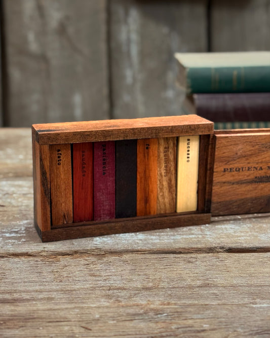 Pequena Xiloteca Afetiva 2 - Hospital