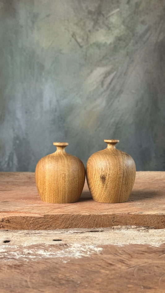 Dupla Petit Zaru - Hospital