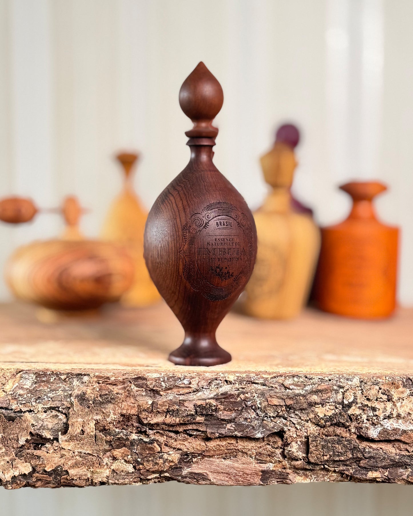 Unidade da Xiloteca Aromática