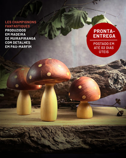 Les Champignons Fantastiques