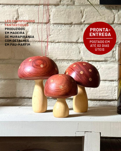 Les Champignons Fantastiques