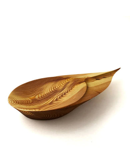 Organoide Leaf - Pinho-de-riga