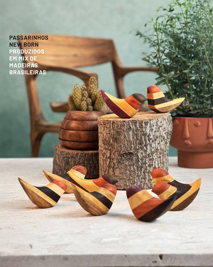 Passarinho Newborn Unidade - Edição Especial