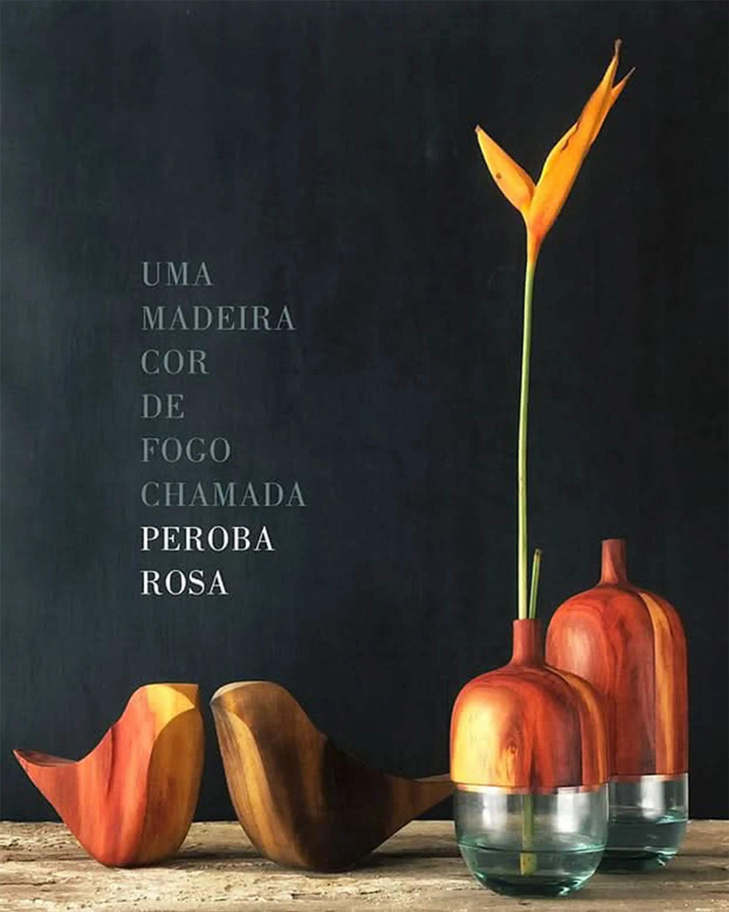 Pássaro New Vibes