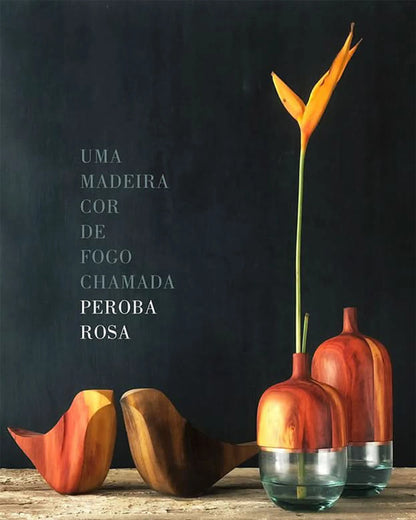 Pássaro New Vibes