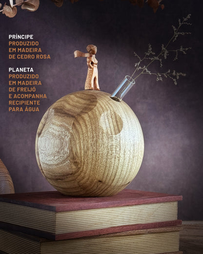 Pequeno-Principe-B612-1