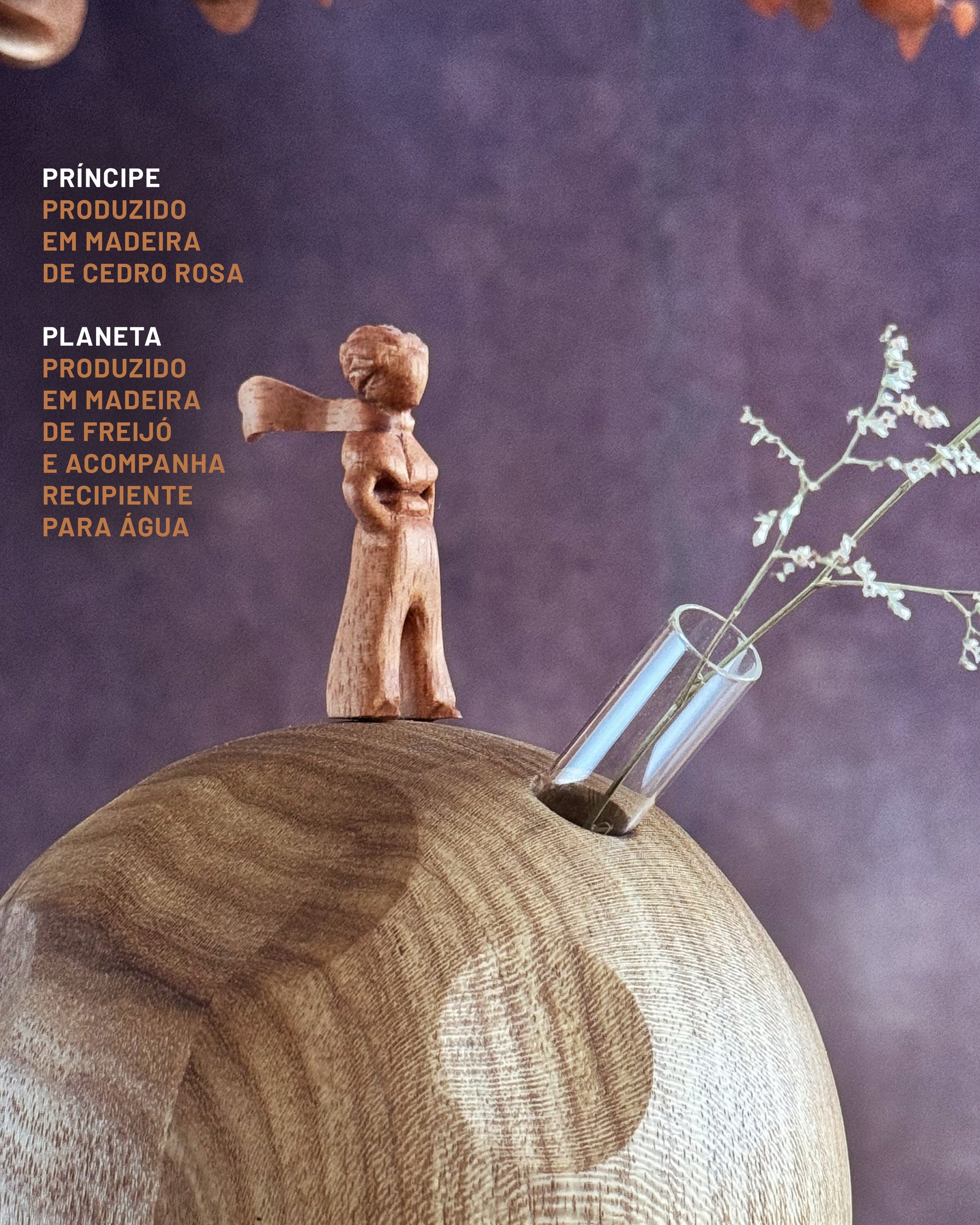Pequeno-Principe-B612-2