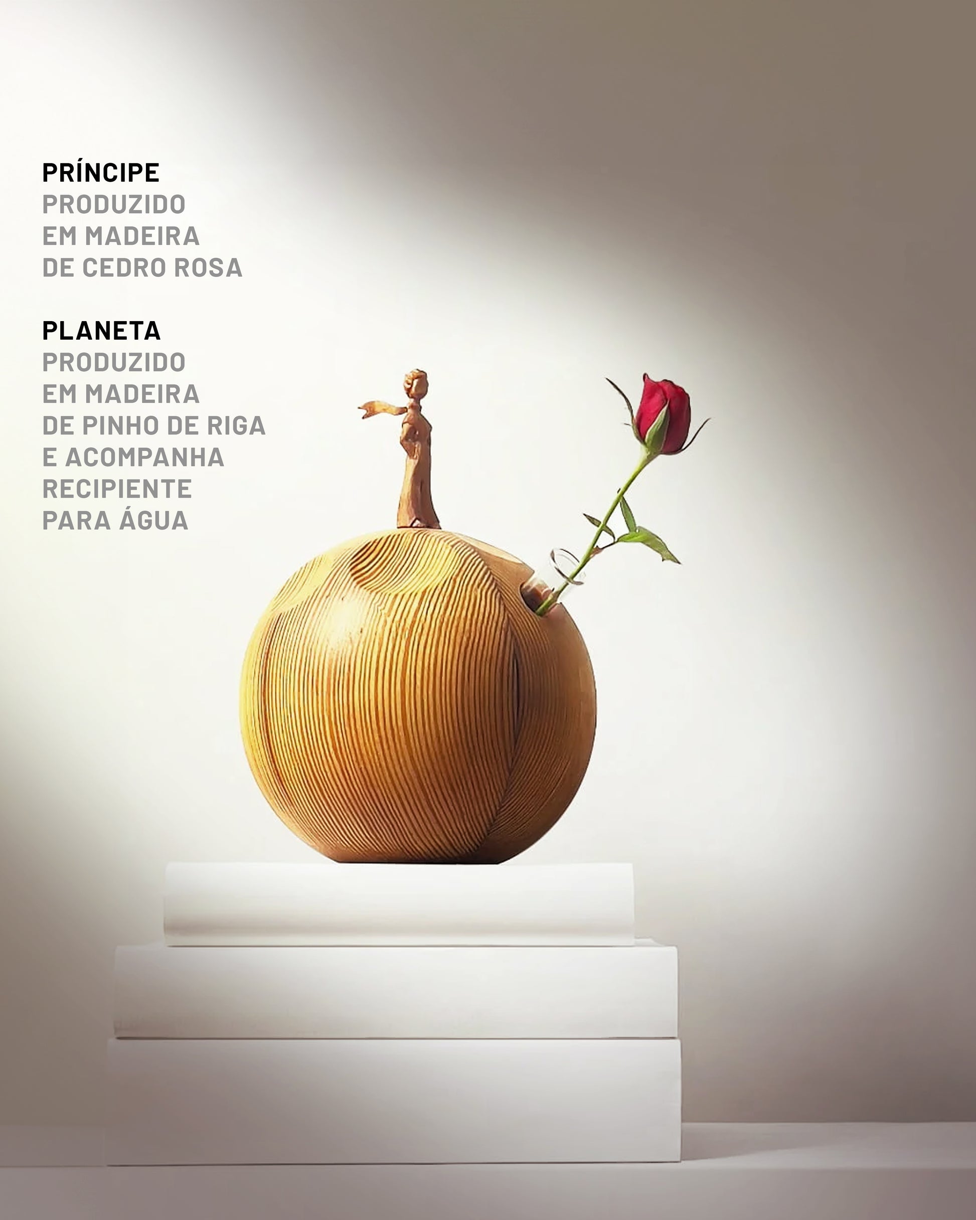 Pequeno-Principe-B612-4