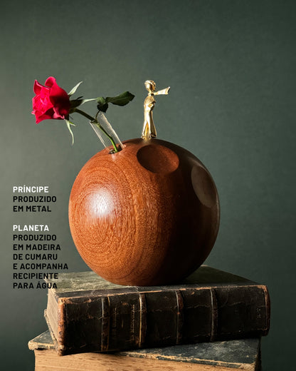 Pequeno-Príncipe-B612-em-Metal-1
