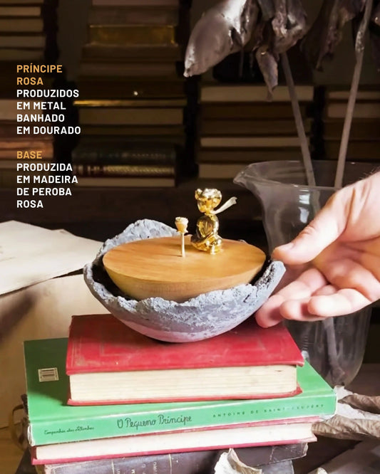 Pequeno Príncipe Fragmentos de um Planeta