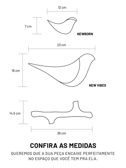 Primeiro Ninho