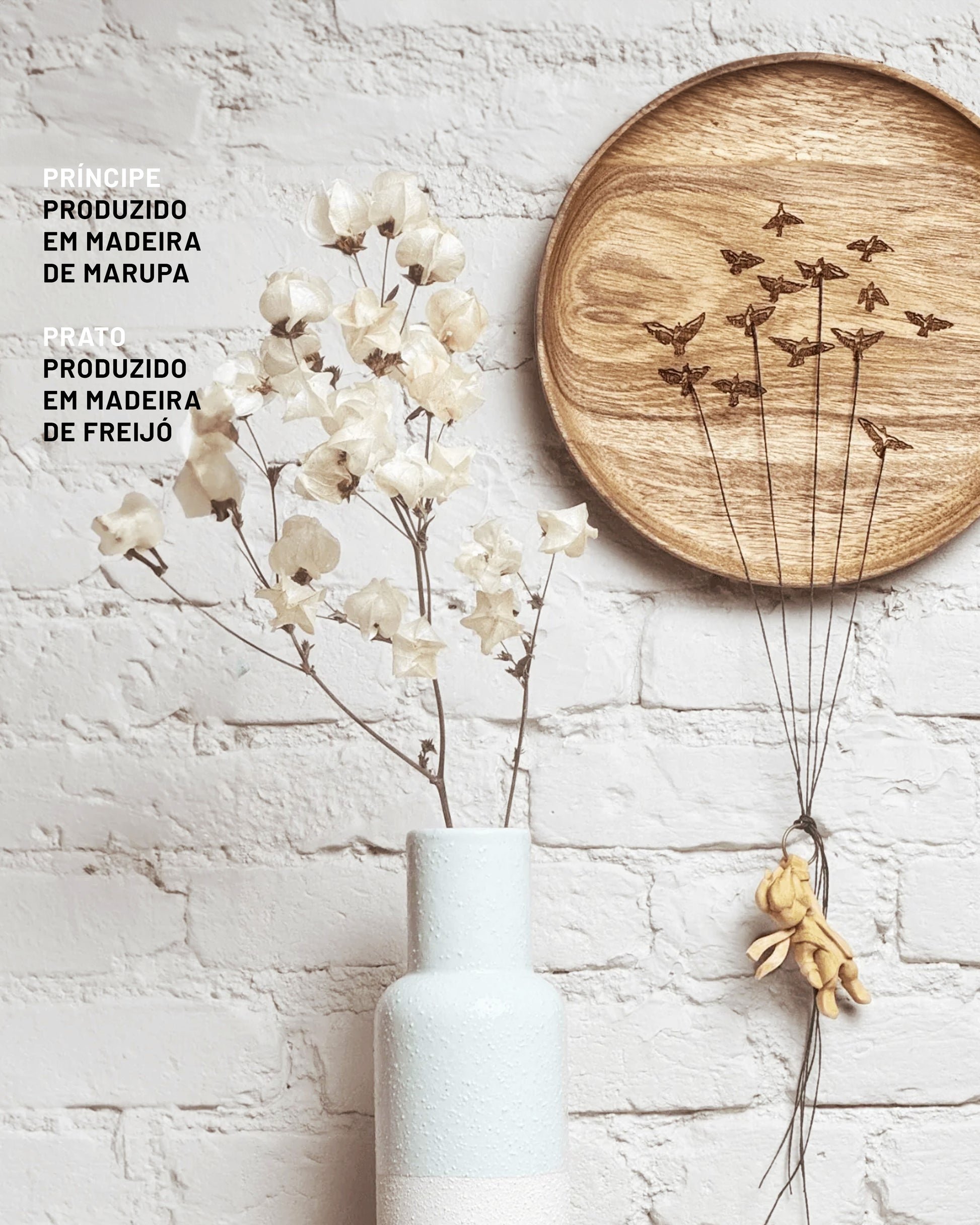 Principe-com-Passaros-1