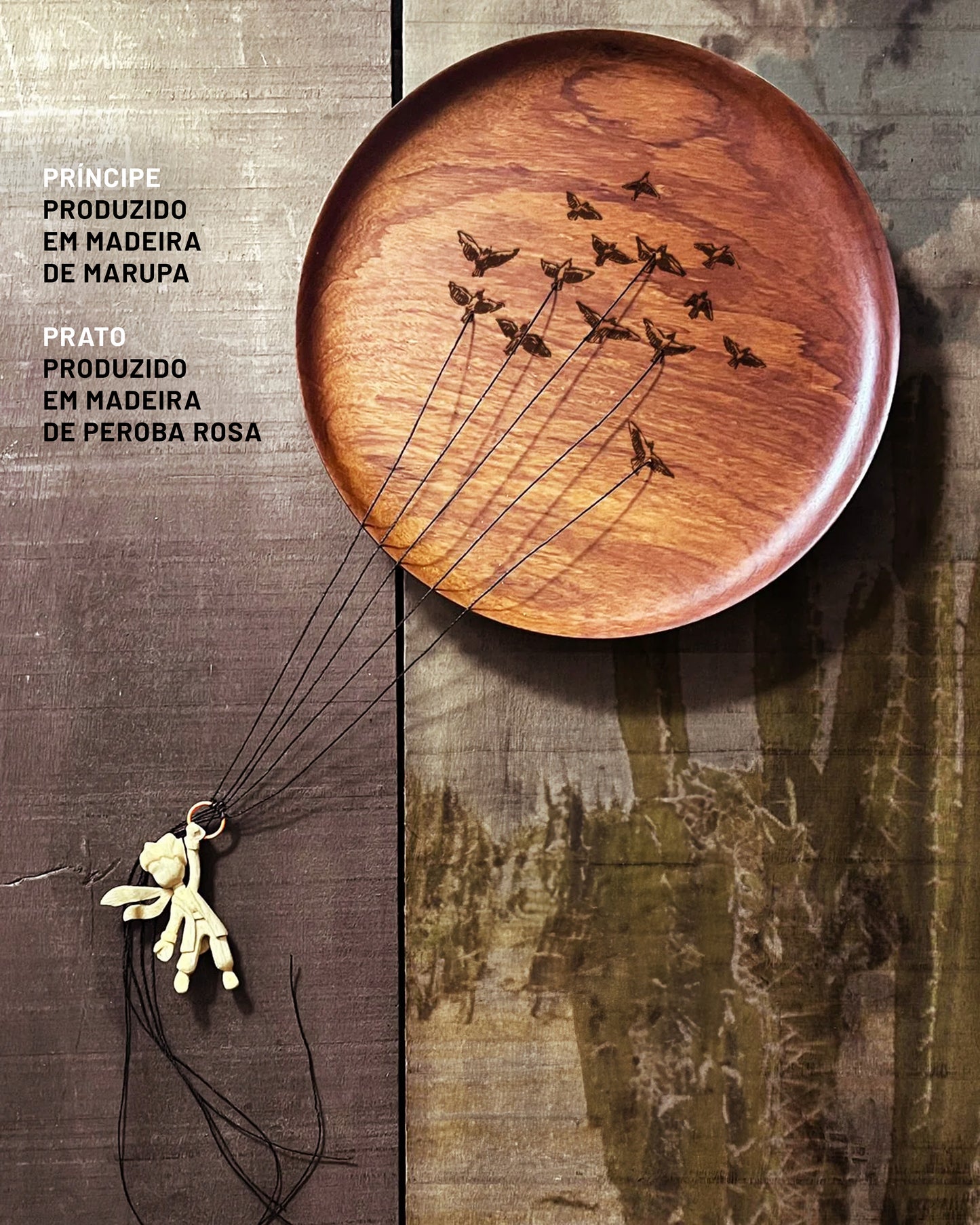 Principe-com-Passaros-3
