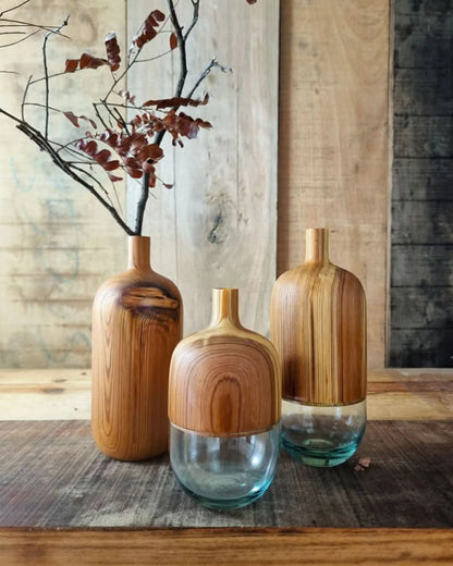 Secos e Molhados - Trio de Vasos Bojo