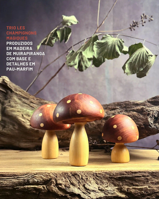 Trio Les Champignons Magiques